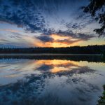 Oderteich, Harz